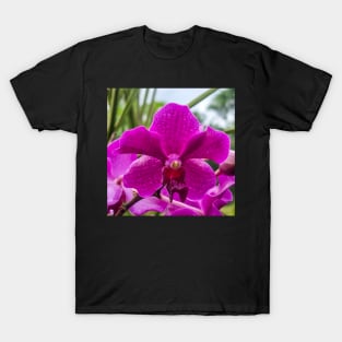Purple Orchid (Papilionanda Mamo) T-Shirt